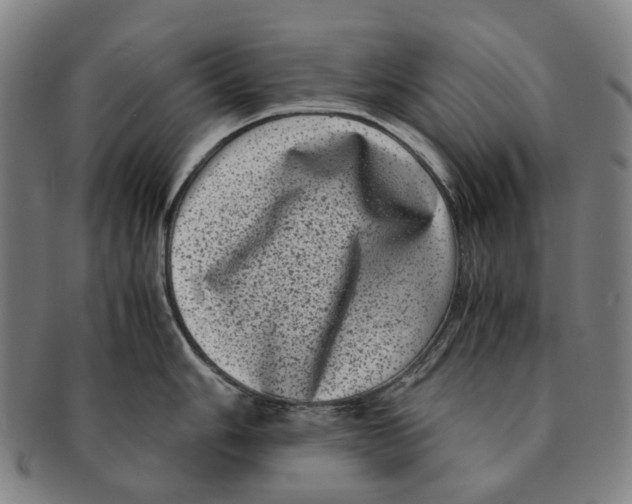 X0000090991006200708301308