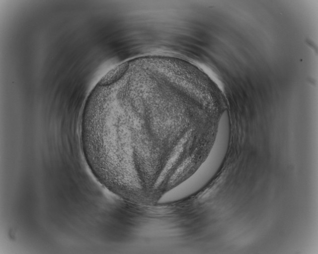 X0000090991007200708301308