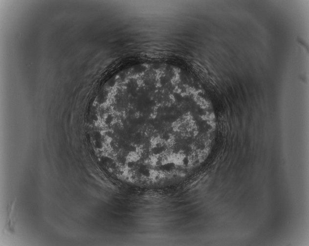 X0000090991009200708301307