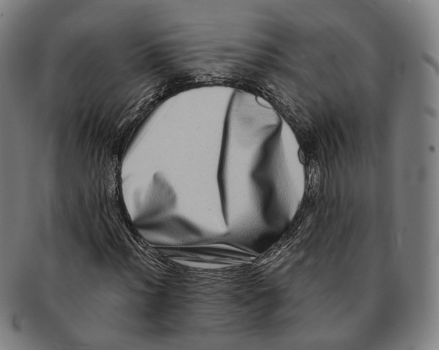 X0000090991012200708301307