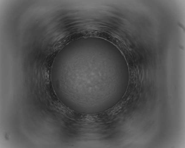 X0000090991013200708301307