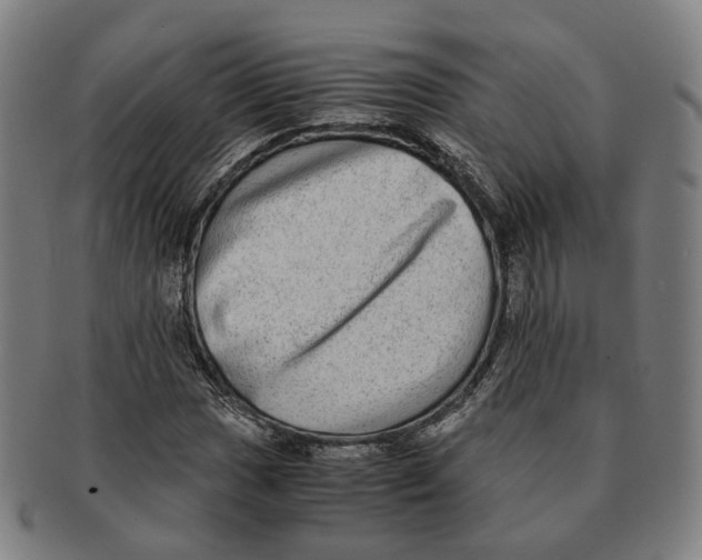 X0000090991017200708301307