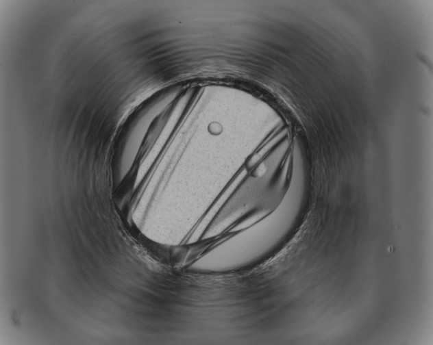 X0000090991018200708301307