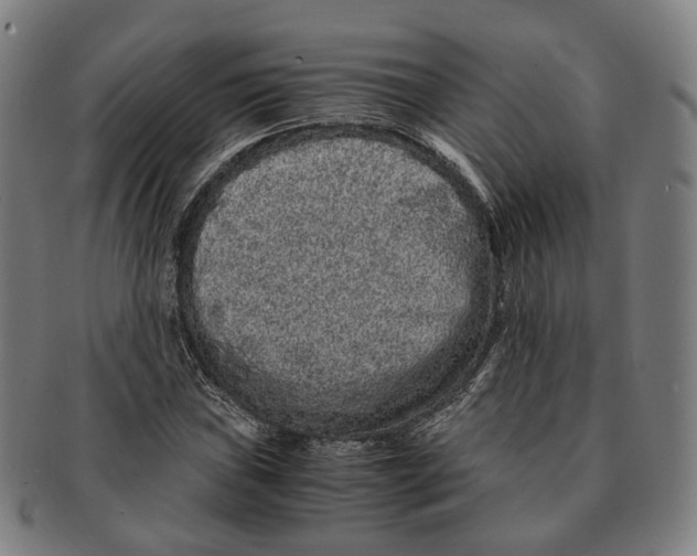 X0000090991019200708301307