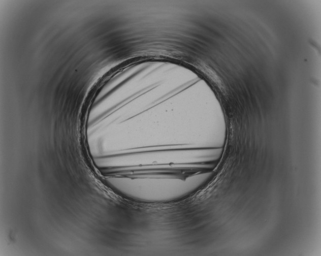 X0000090991020200708301307