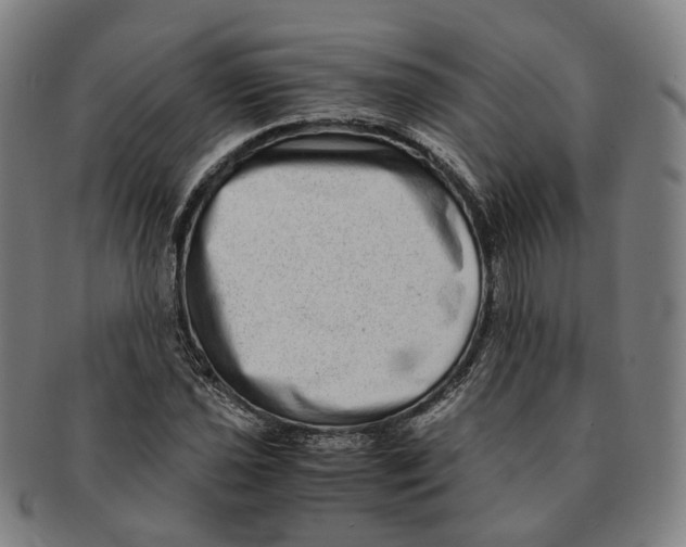 X0000090991021200708301307