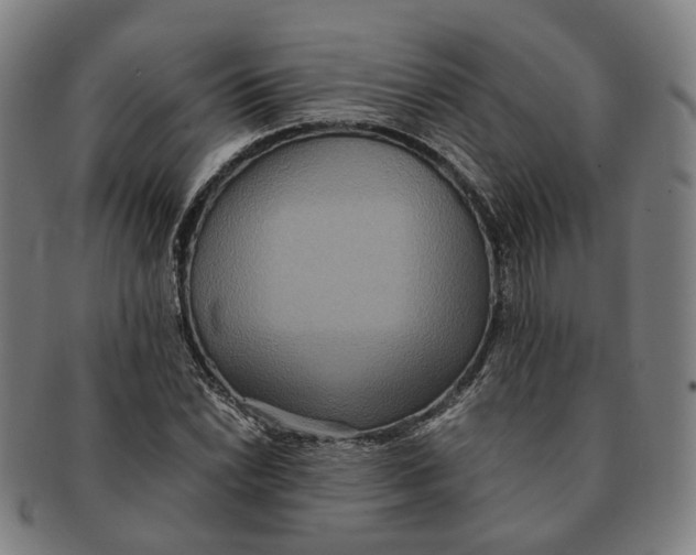 X0000090991022200708301307