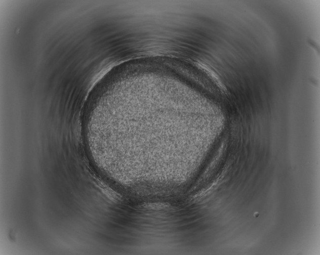 X0000090991023200708301307