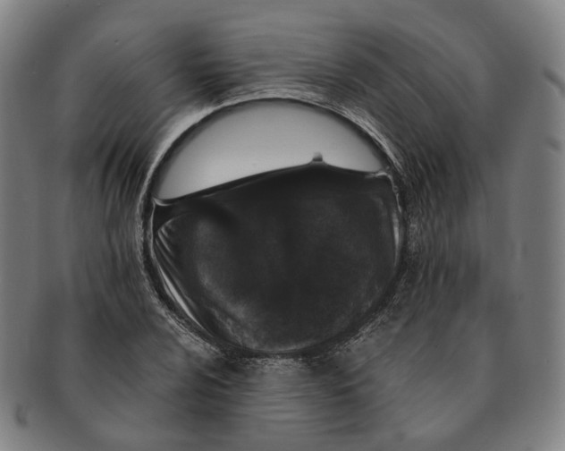 X0000090991024200708301307