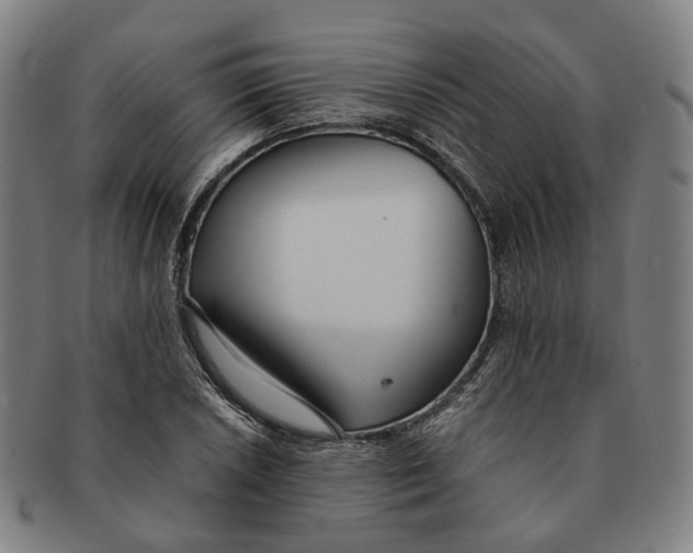 X0000090991026200708301307