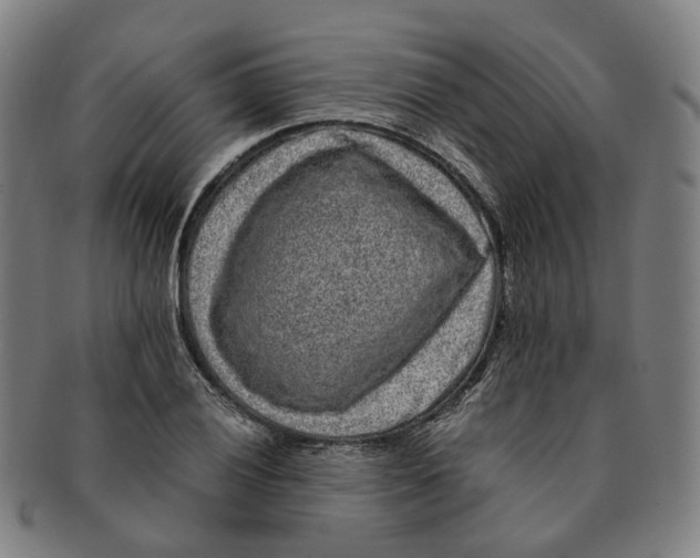 X0000090991028200708301307