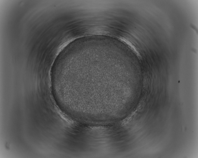 X0000090991031200708301307