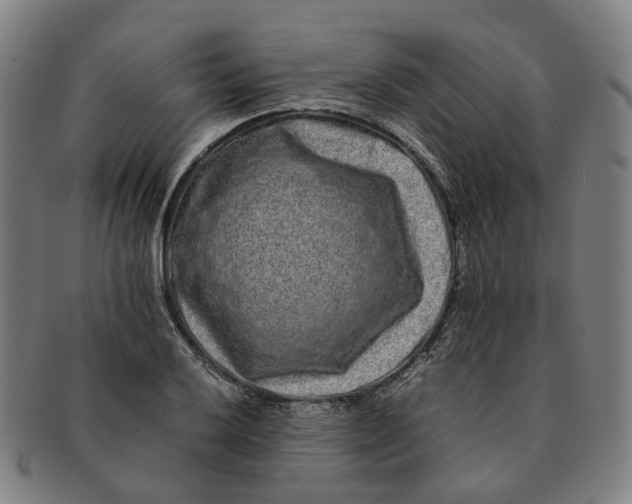 X0000090991032200708301307