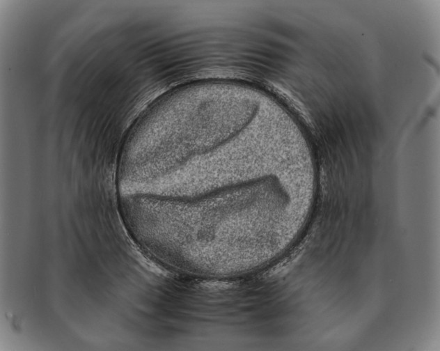 X0000090991033200708301307