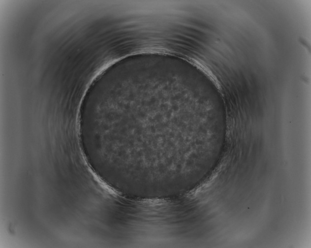 X0000090991037200708301307