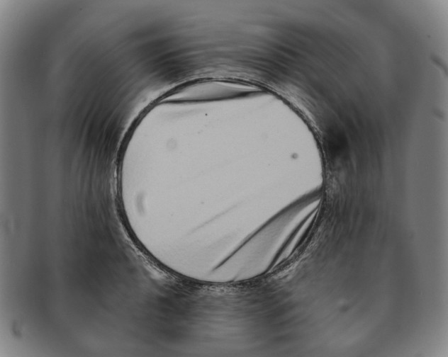 X0000090991040200708301307