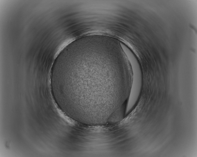 X0000090991042200708301307