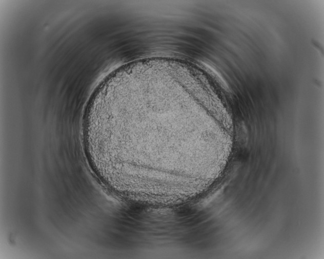 X0000090991043200708301307