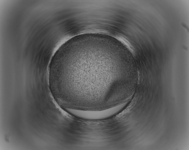 X0000090991046200708301308