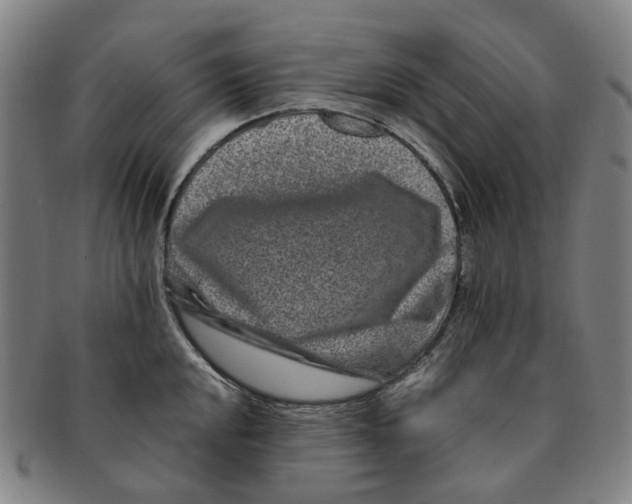 X0000090991048200708301308