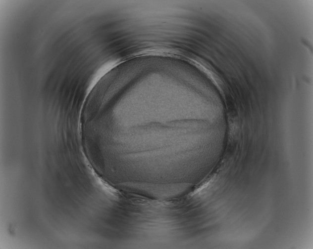 X0000090991050200708301308