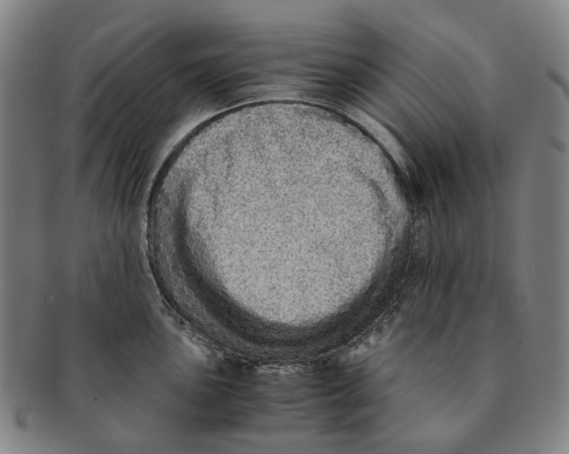 X0000090991051200708301308