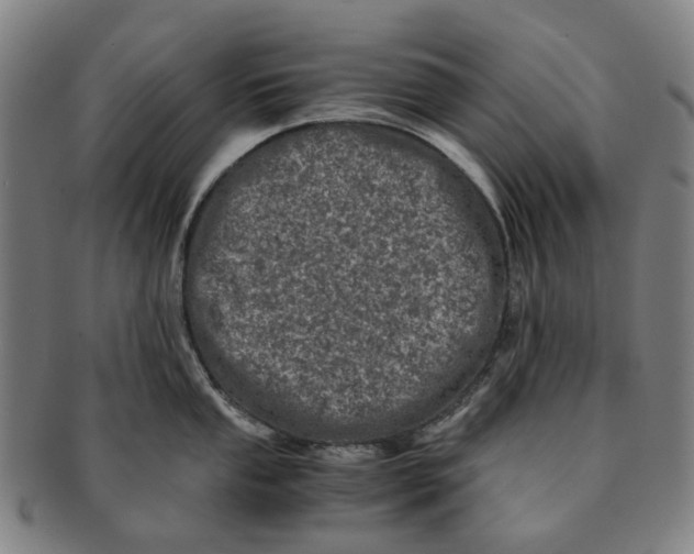 X0000090991053200708301308