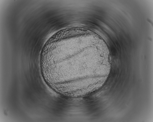 X0000090991055200708301308