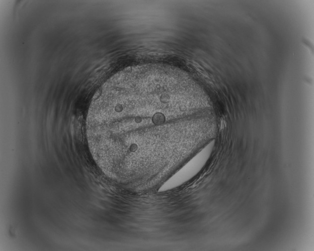 X0000090991059200708301307