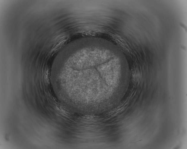 X0000090991060200708301307