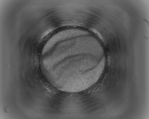 X0000090991064200708301307