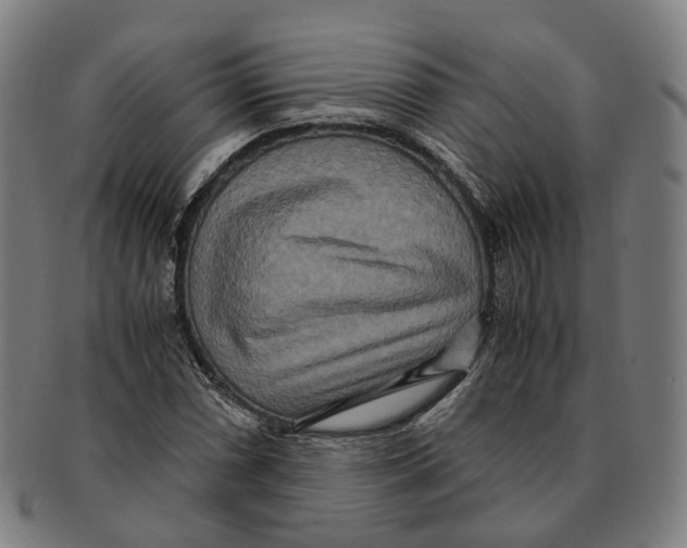 X0000090991066200708301307