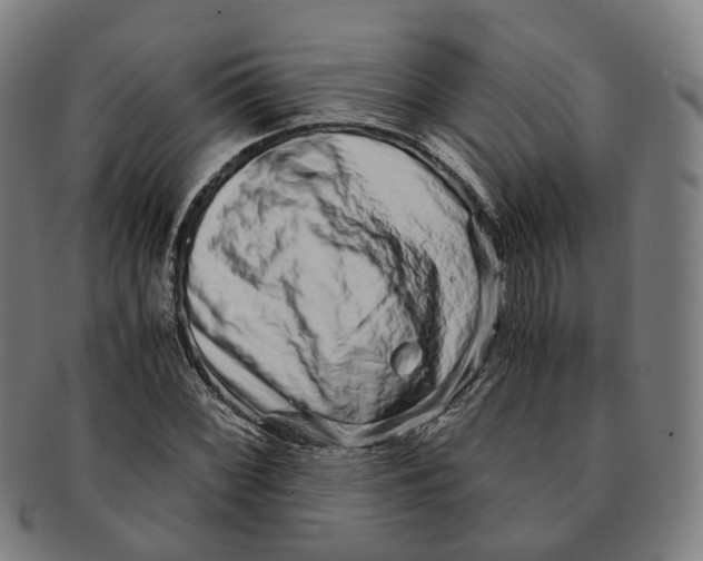 X0000090991068200708301307