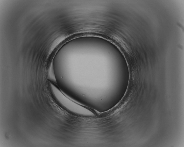 X0000090991069200708301307