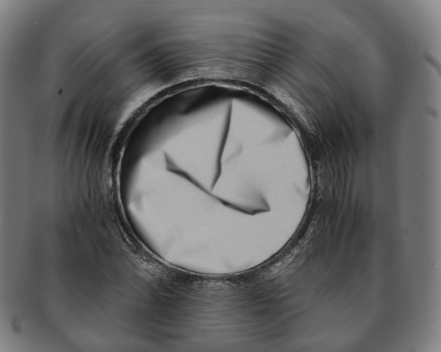 X0000090991070200708301307