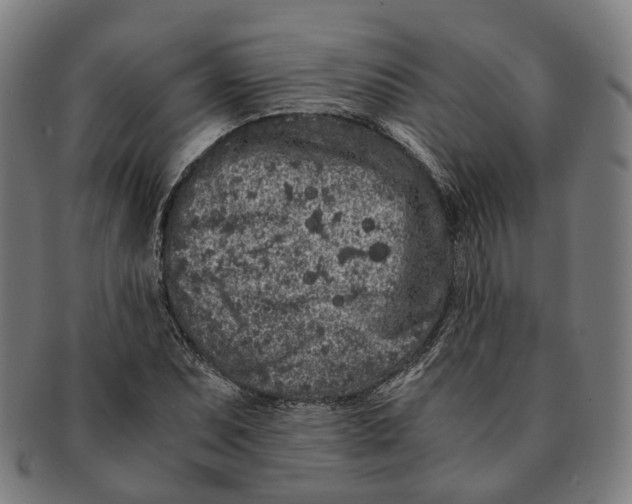 X0000090991071200708301307