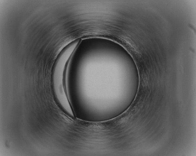 X0000090991073200708301307