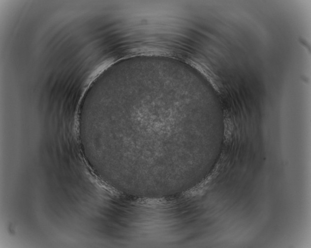 X0000090991074200708301307