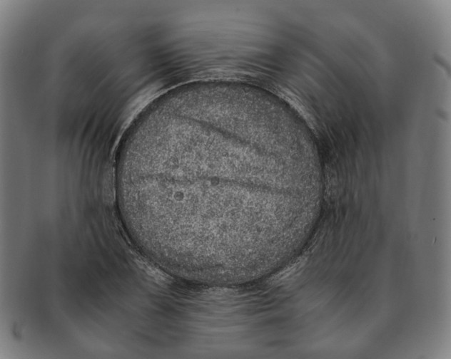 X0000090991075200708301307