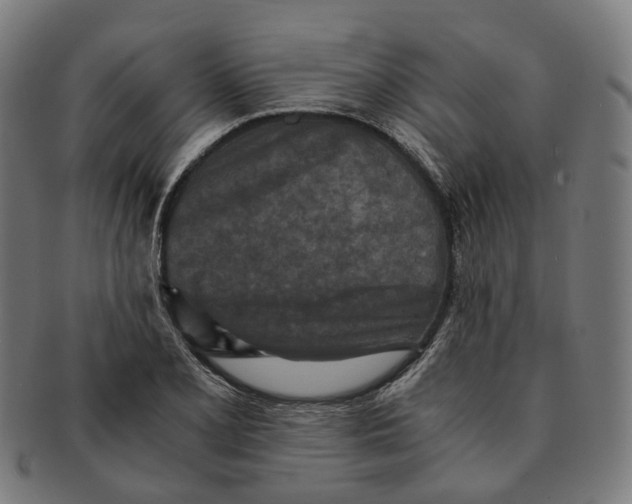 X0000090991077200708301307