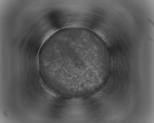 X0000090991078200708301307