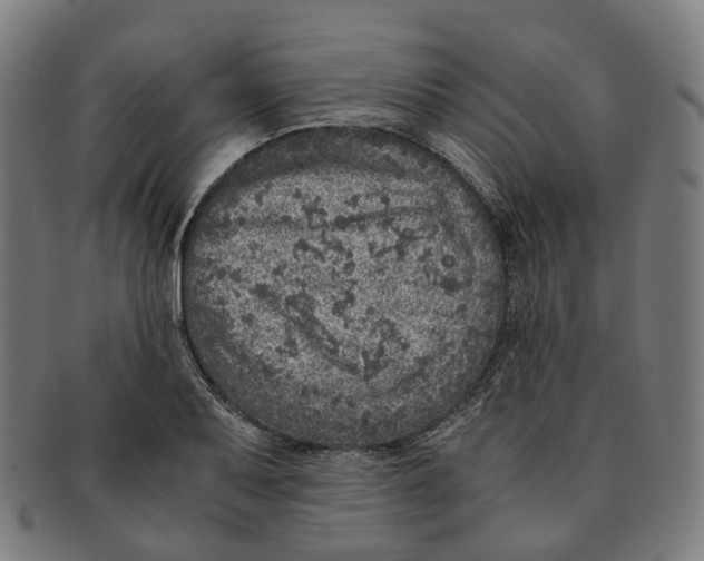 X0000090991079200708301307