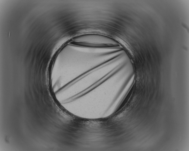 X0000090991082200708301307