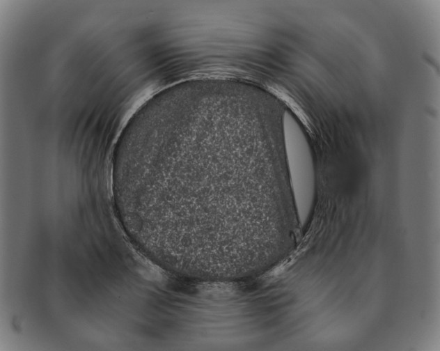 X0000090991083200708301306