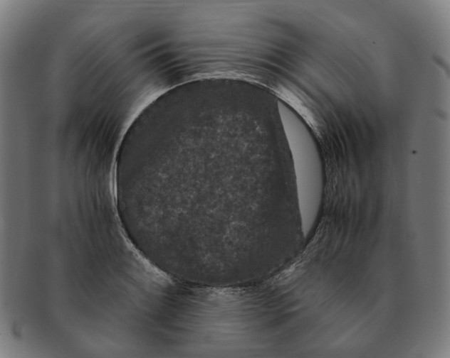 X0000090991084200708301306