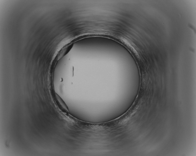 X0000090991085200708301306