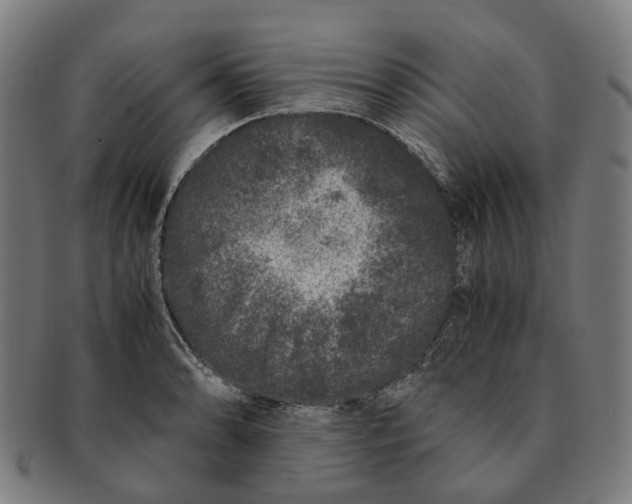 X0000090991086200708301306