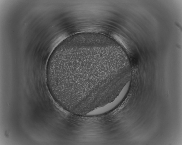 X0000090991087200708301306