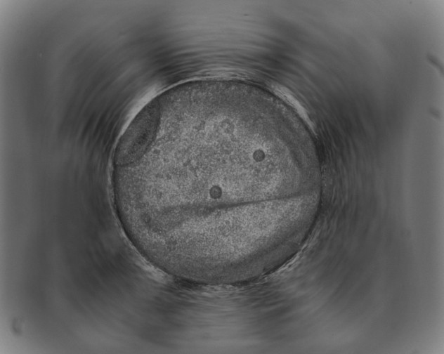 X0000090991091200708301306