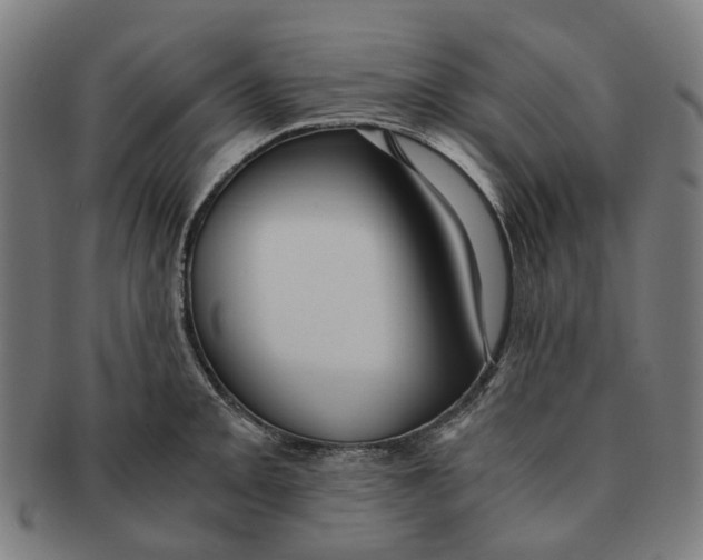 X0000090991093200708301306